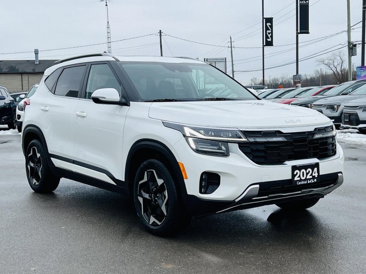 2024 Kia Seltos EX PREMIUM AWD Photo