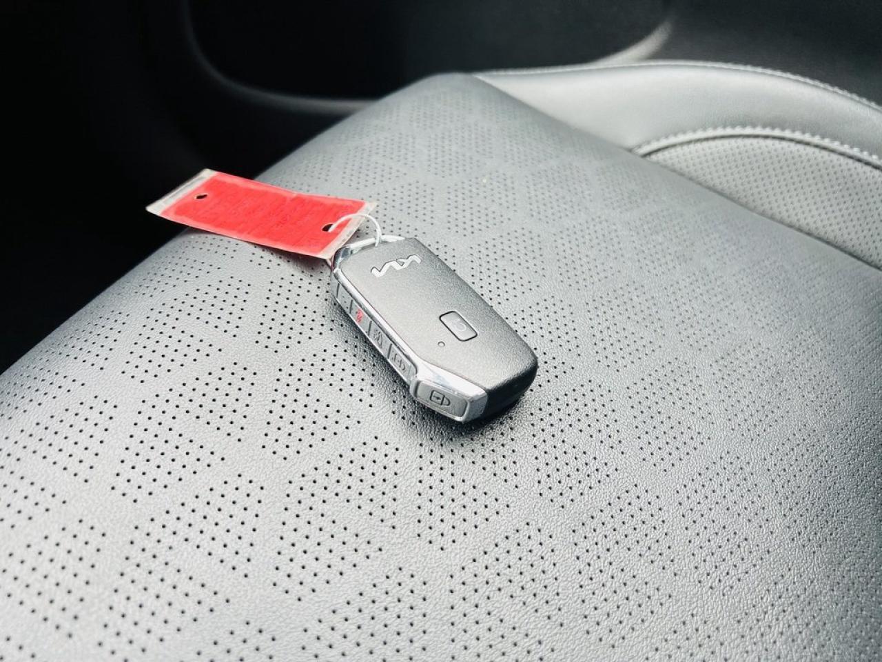 2024 Kia Seltos EX PREMIUM AWD Photo