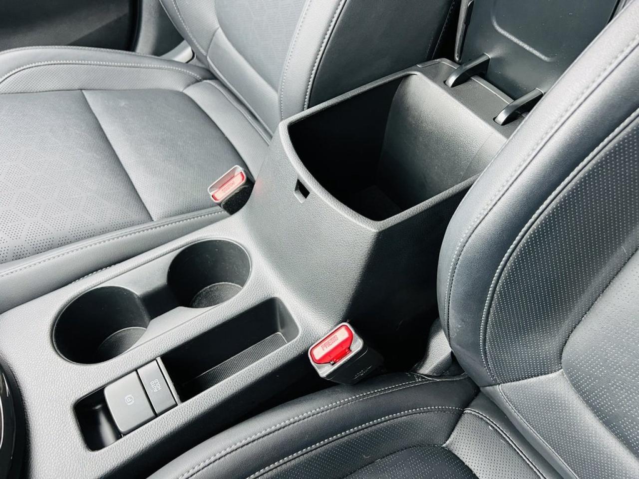 2024 Kia Seltos EX PREMIUM AWD Photo