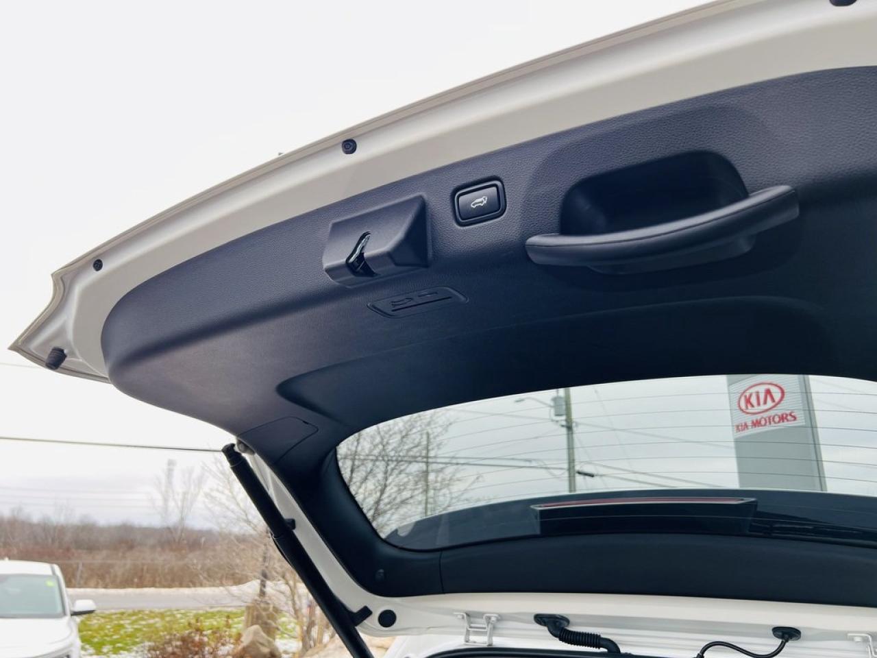 2024 Kia Seltos EX PREMIUM AWD Photo