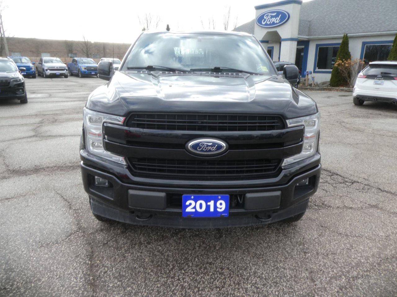2019 Ford F-150 Limited  Photo