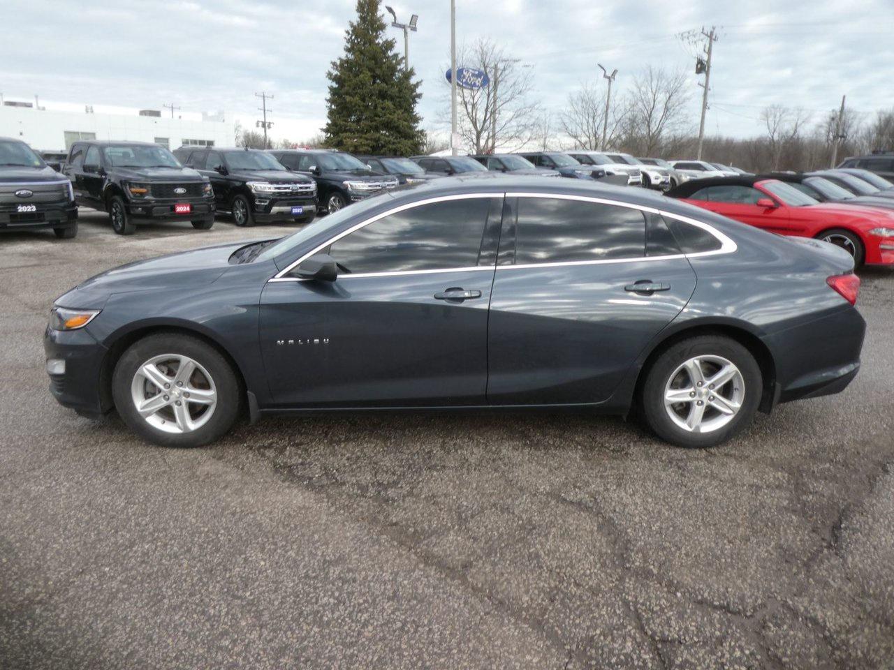 2019 Chevrolet Malibu LS Photo