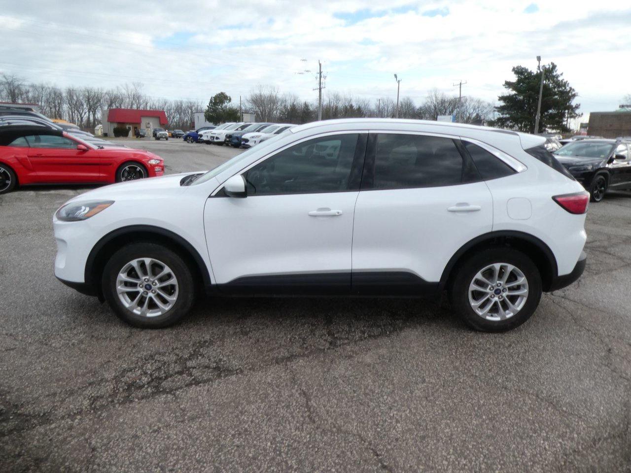 2021 Ford Escape SE SE Photo