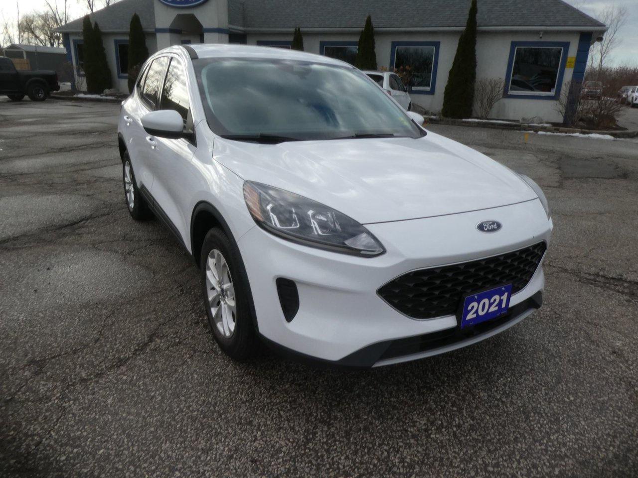 2021 Ford Escape SE SE Photo