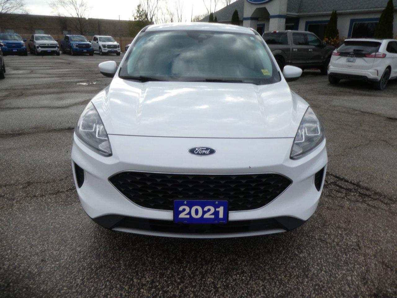 2021 Ford Escape SE Photo