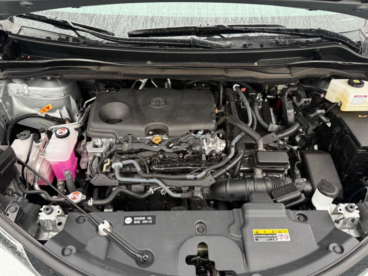 2025 Toyota Sienna XLE 8-Passenger  - Sunroof - $165.55 /Wk Photo