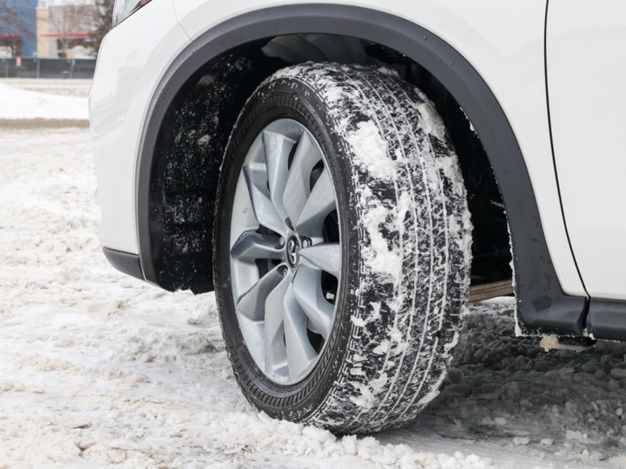 2021 Infiniti QX50 LUXE  - Sunroof -  Navigation Photo