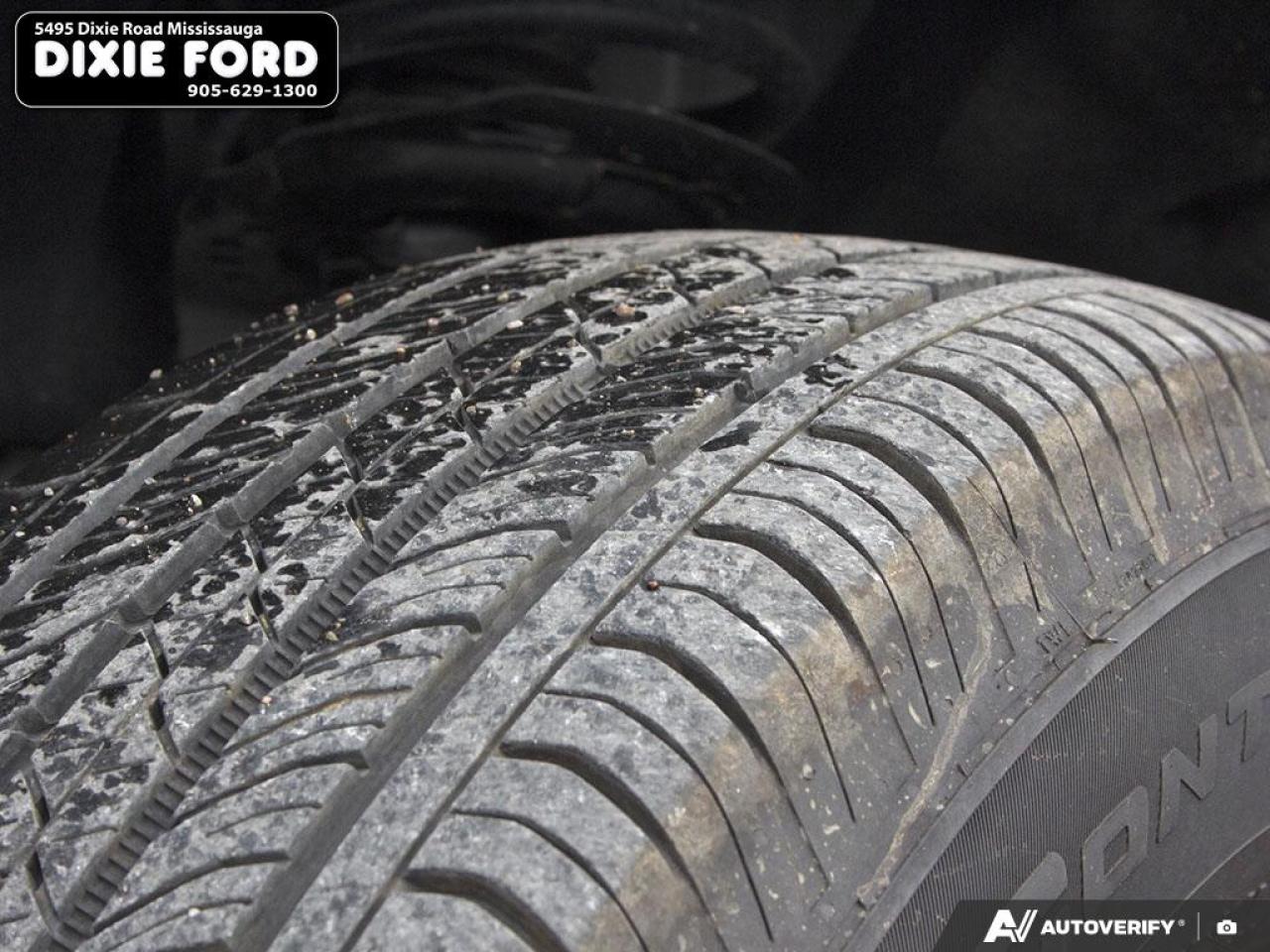 2025 Ford Maverick XLT Photo