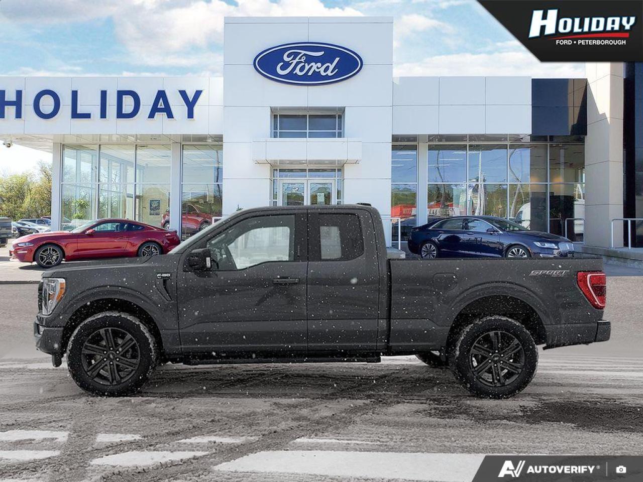 2021 Ford F-150 XLT Photo