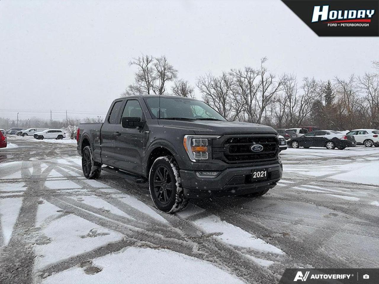 2021 Ford F-150 XLT Photo