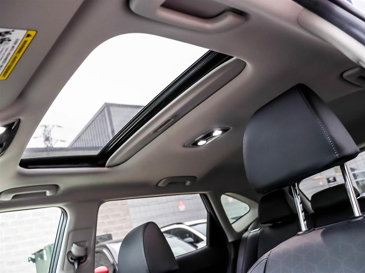 2025 Kia Seltos SX w/Black Interior Photo