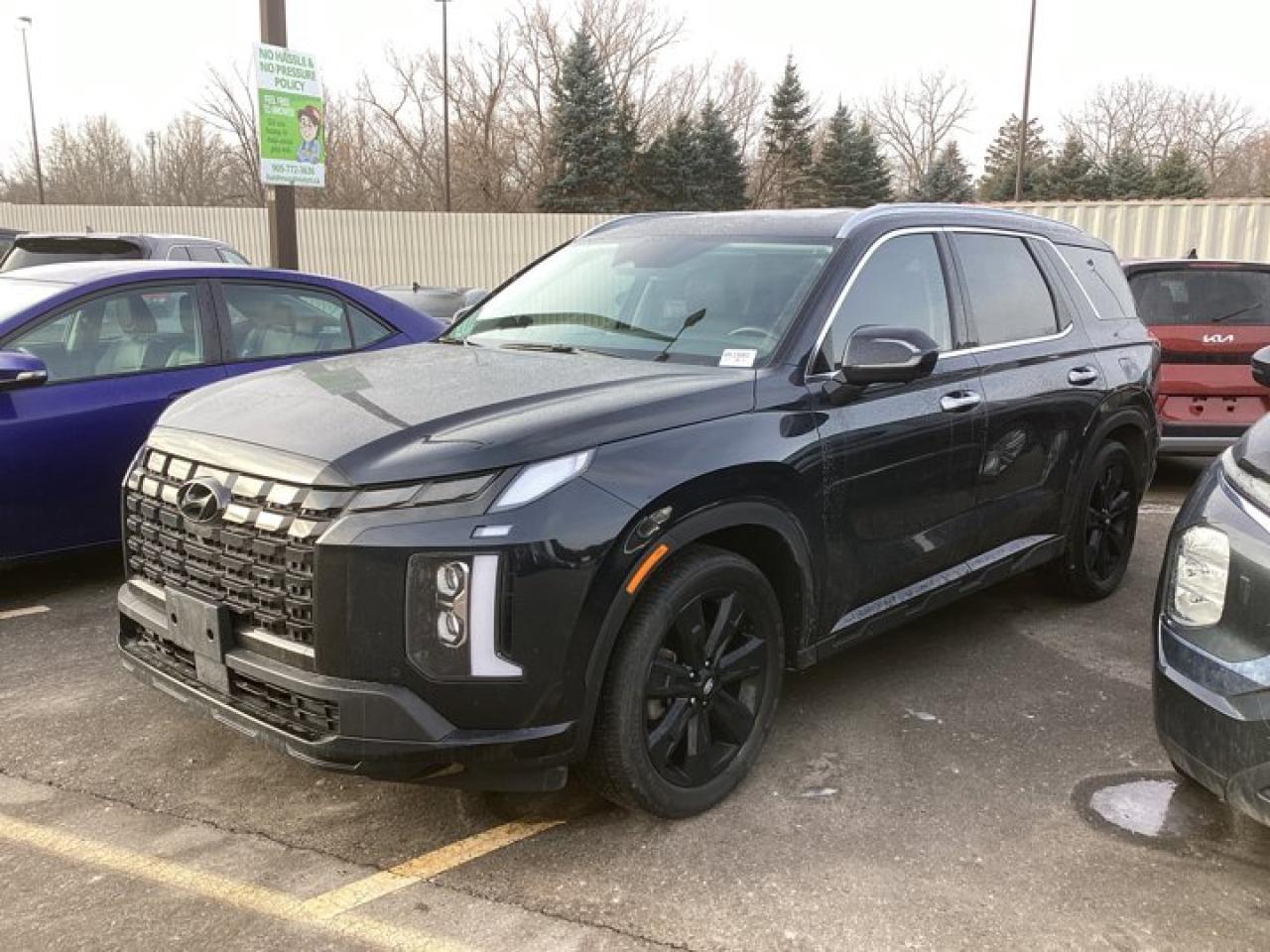 2023 Hyundai PALISADE Urban AWD | 2nd Row Captain Seats | 360 Camera | Remote Start Photo0