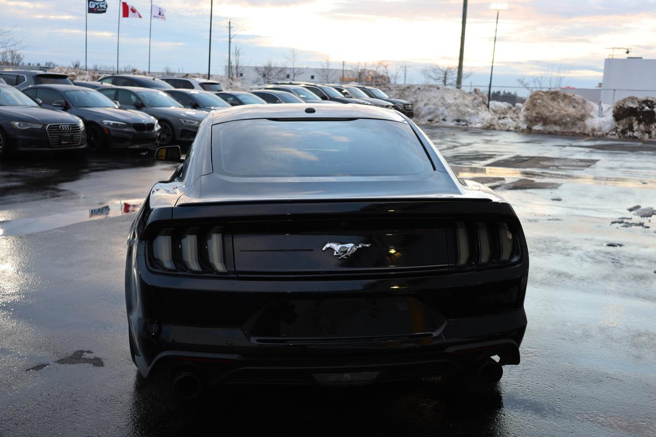 2019 Ford Mustang EcoBoost - LOW KM|CAMERA|NAVI|BLINDSPOT Photo4