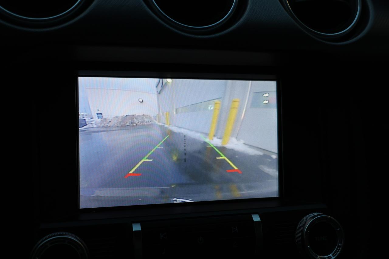 2019 Ford Mustang EcoBoost - LOW KM|CAMERA|NAVI|BLINDSPOT Photo