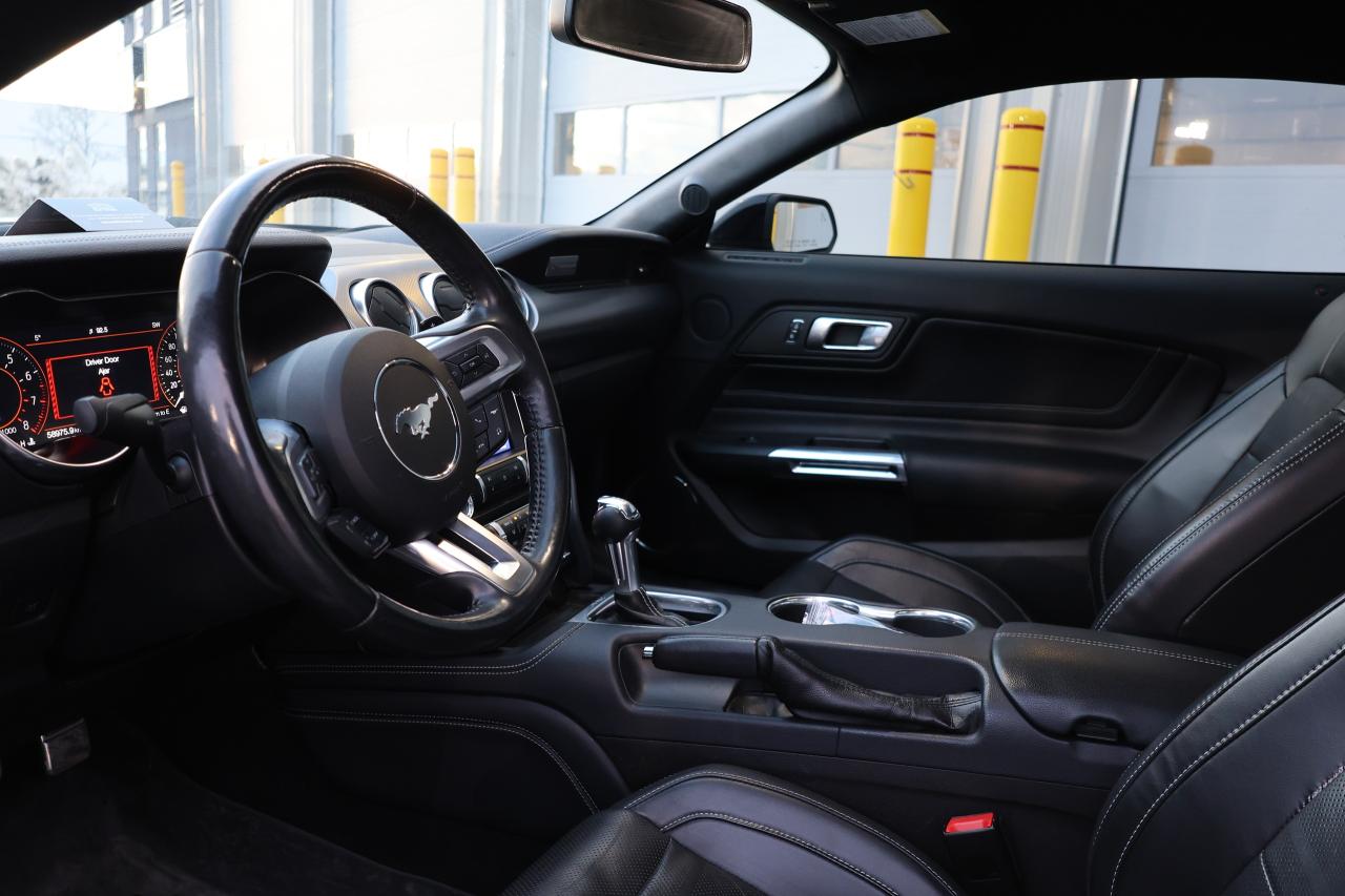 2019 Ford Mustang EcoBoost - LOW KM|CAMERA|NAVI|BLINDSPOT Photo