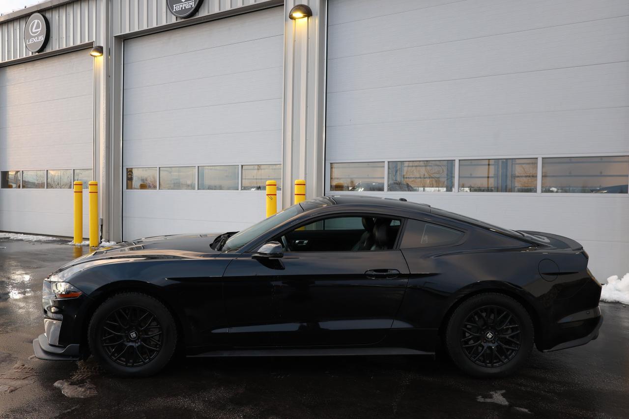 2019 Ford Mustang EcoBoost - LOW KM|CAMERA|NAVI|BLINDSPOT Photo2