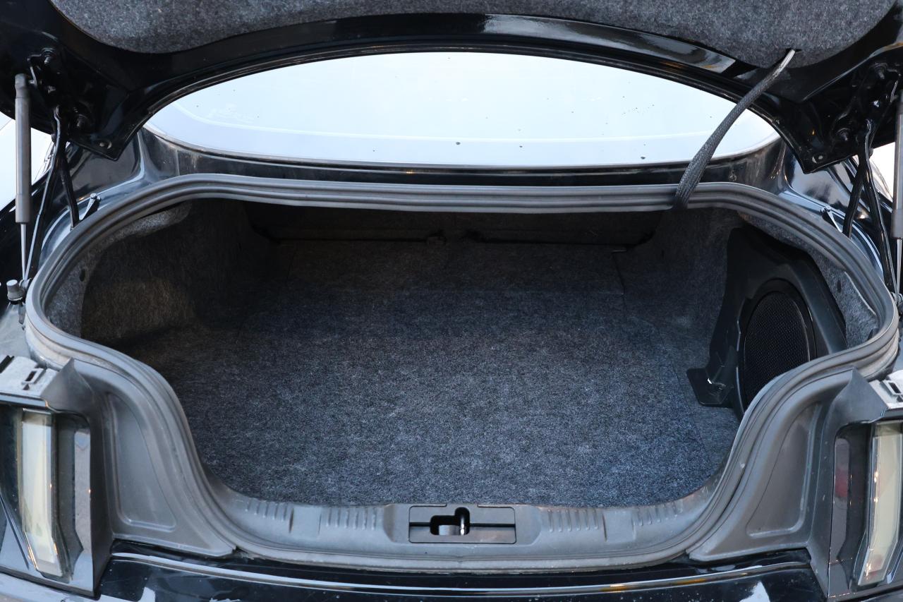 2019 Ford Mustang EcoBoost - LOW KM|CAMERA|NAVI|BLINDSPOT Photo