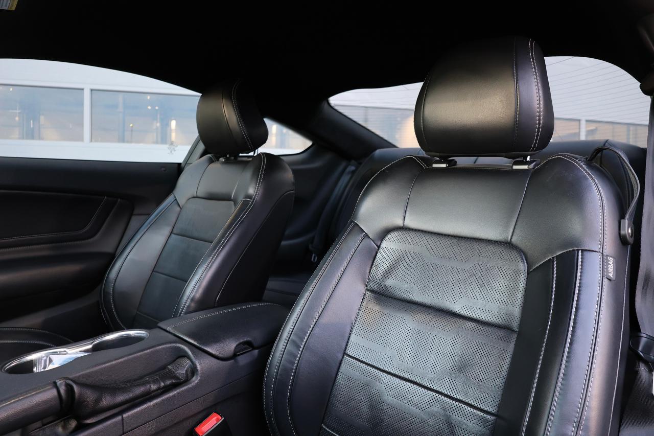 2019 Ford Mustang EcoBoost - LOW KM|CAMERA|NAVI|BLINDSPOT Photo