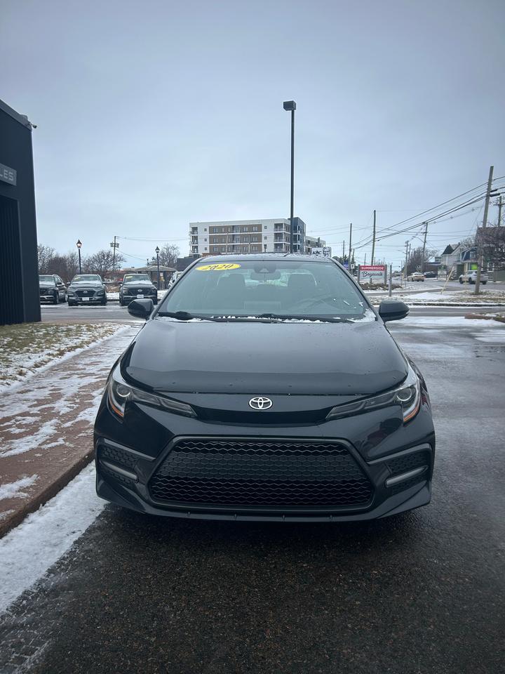 2020 Toyota Corolla SE Photo