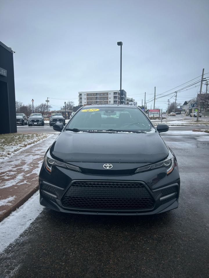2020 Toyota Corolla SE Photo