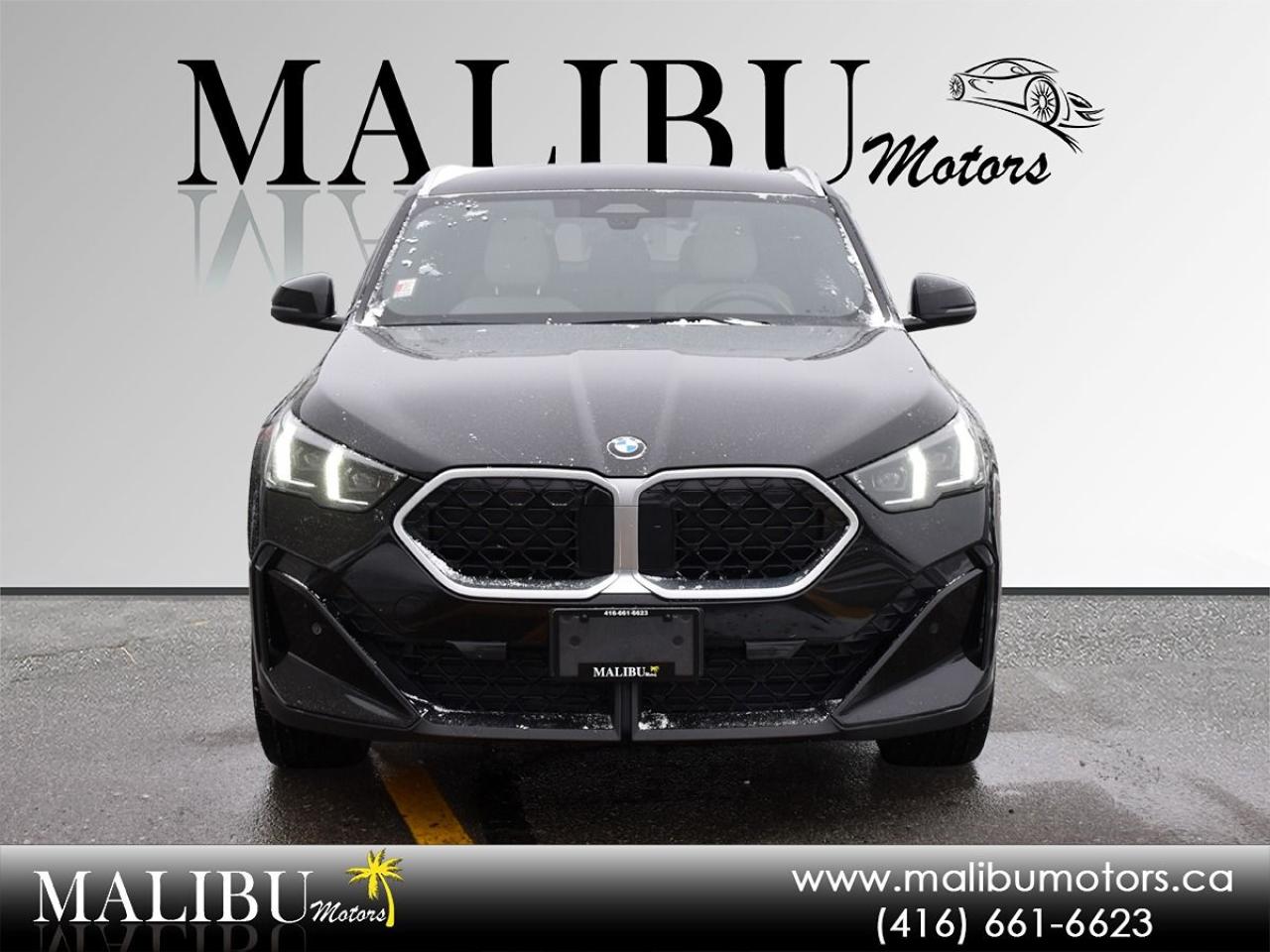 2025 BMW X2 xDrive28i Photo