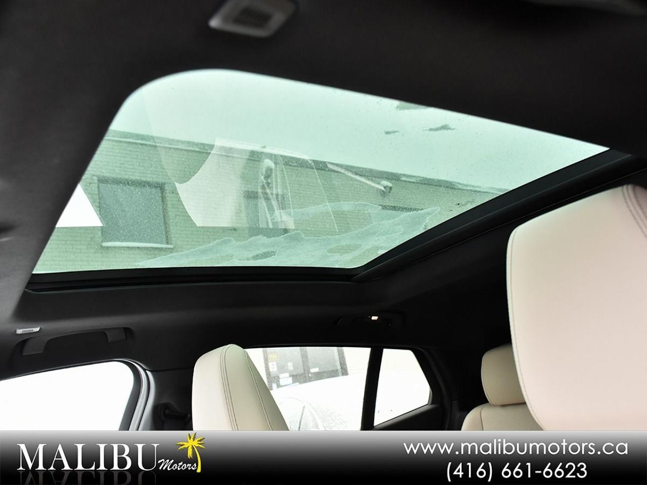 2025 BMW X2 xDrive28i Photo