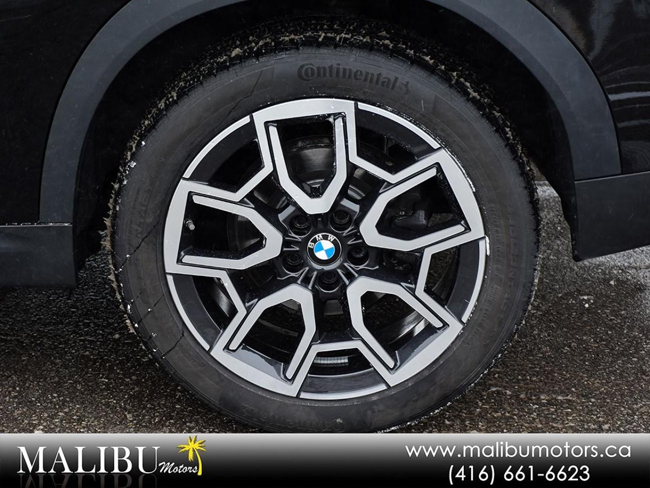 2025 BMW X2 xDrive28i Photo