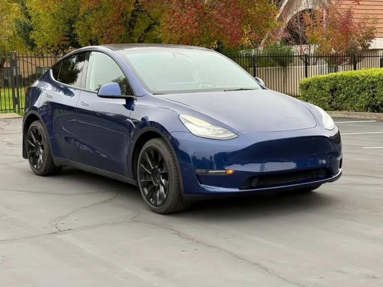 2022 Tesla Model Y LONG RANGE Photo