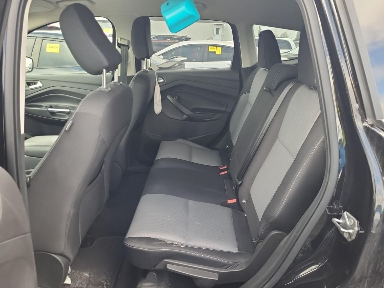 2019 Ford Escape SE Photo