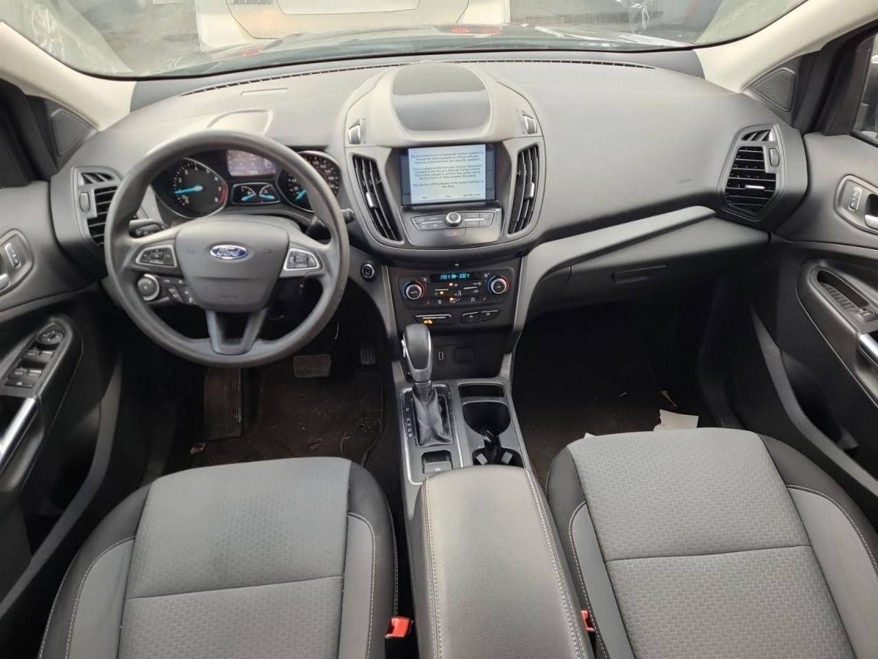 2019 Ford Escape SE Photo