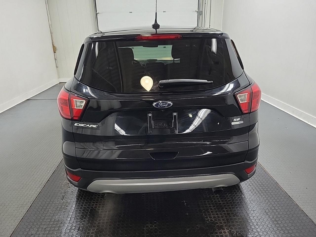 2019 Ford Escape SE Photo