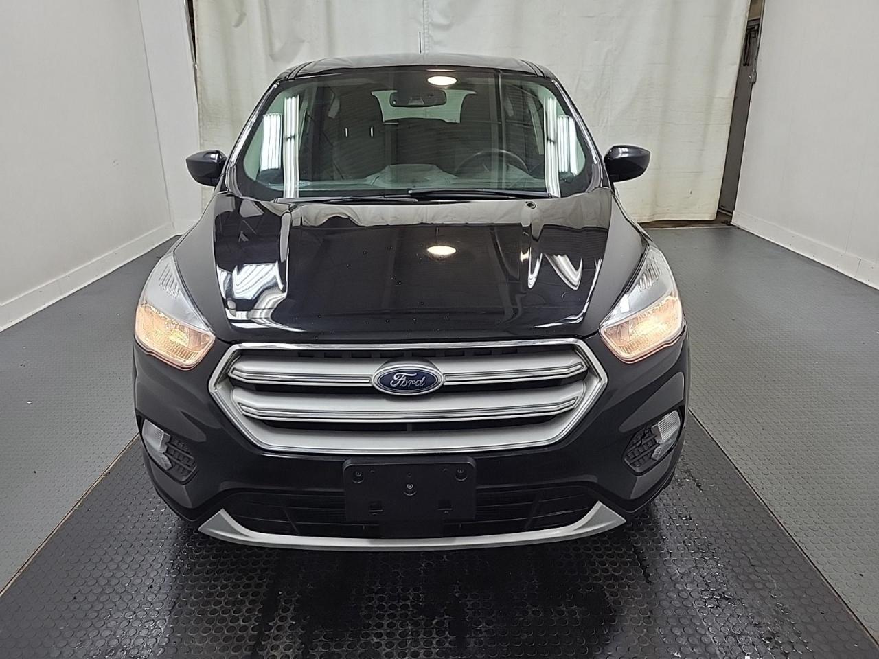 2019 Ford Escape SE Photo