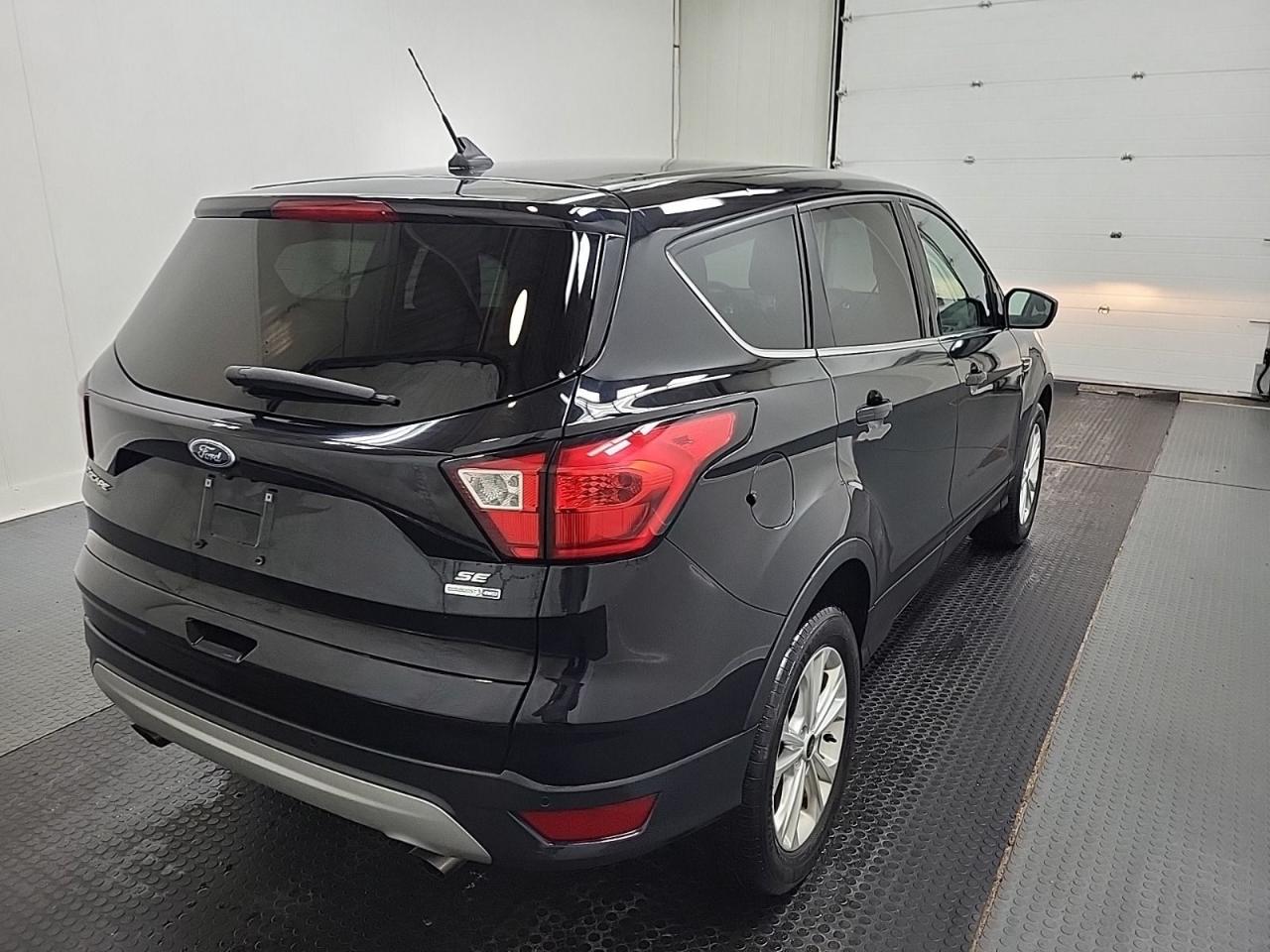 2019 Ford Escape SE Photo