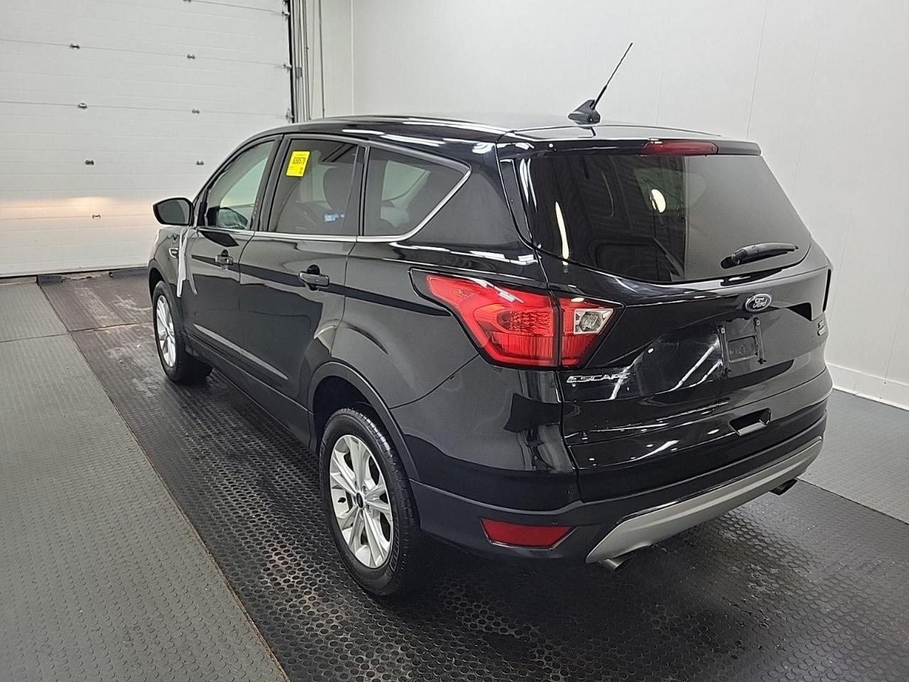 2019 Ford Escape SE Photo