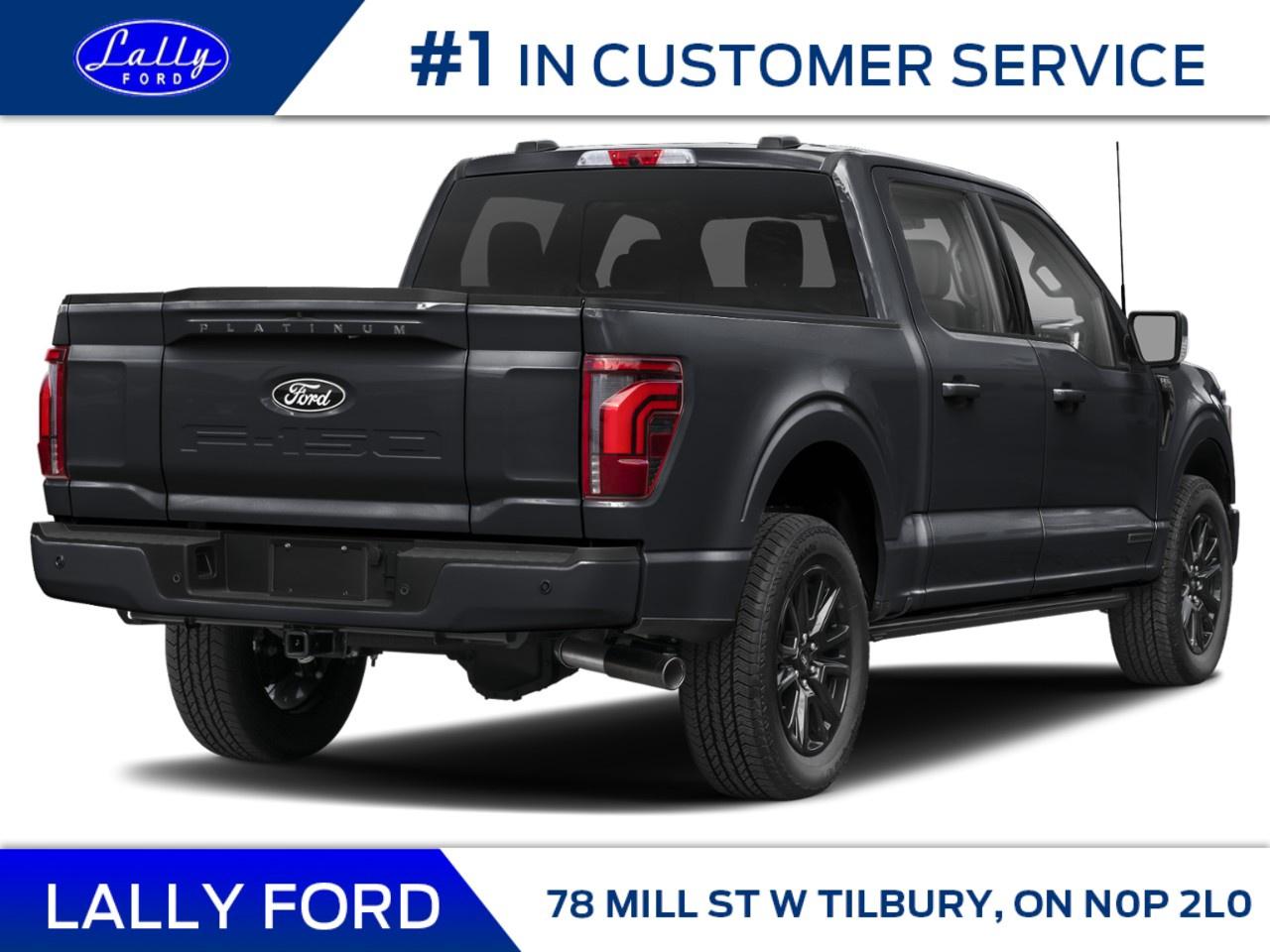 2025 Ford F-150 Platinum 4WD SuperCrew 5.5' Box Photo