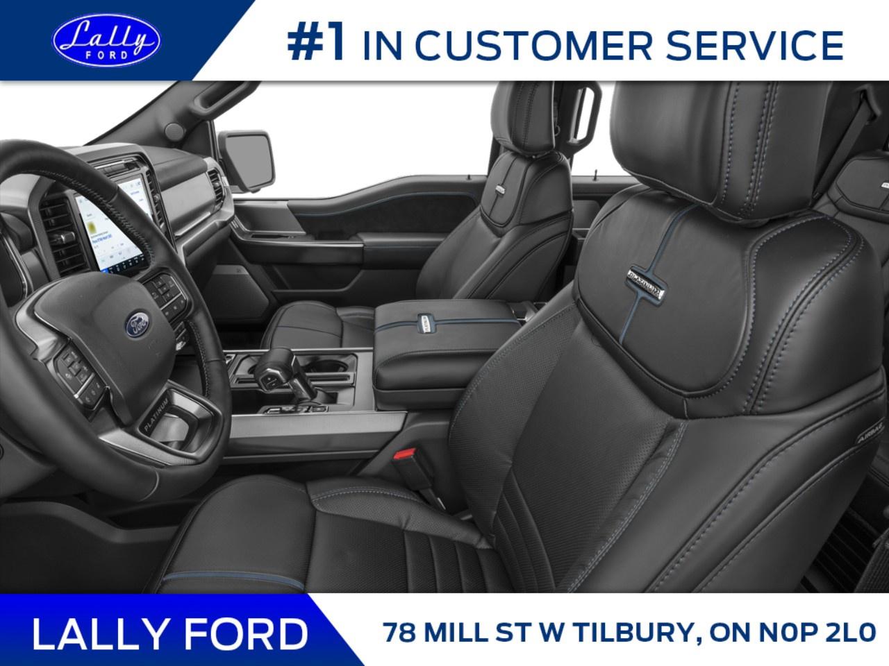 2025 Ford F-150 Platinum 4WD SuperCrew 5.5' Box Photo