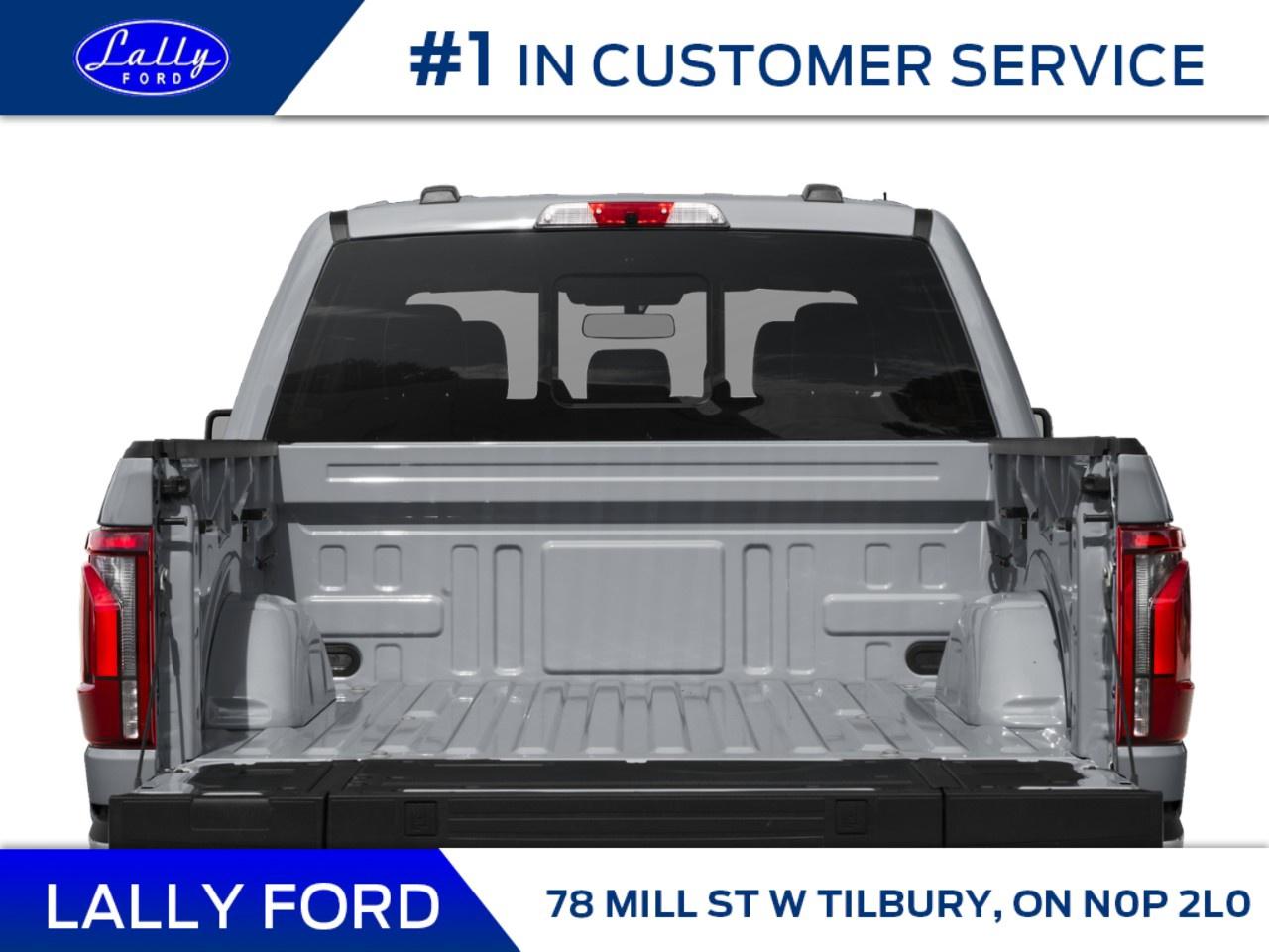 2025 Ford F-150 Platinum 4WD SuperCrew 5.5' Box Photo