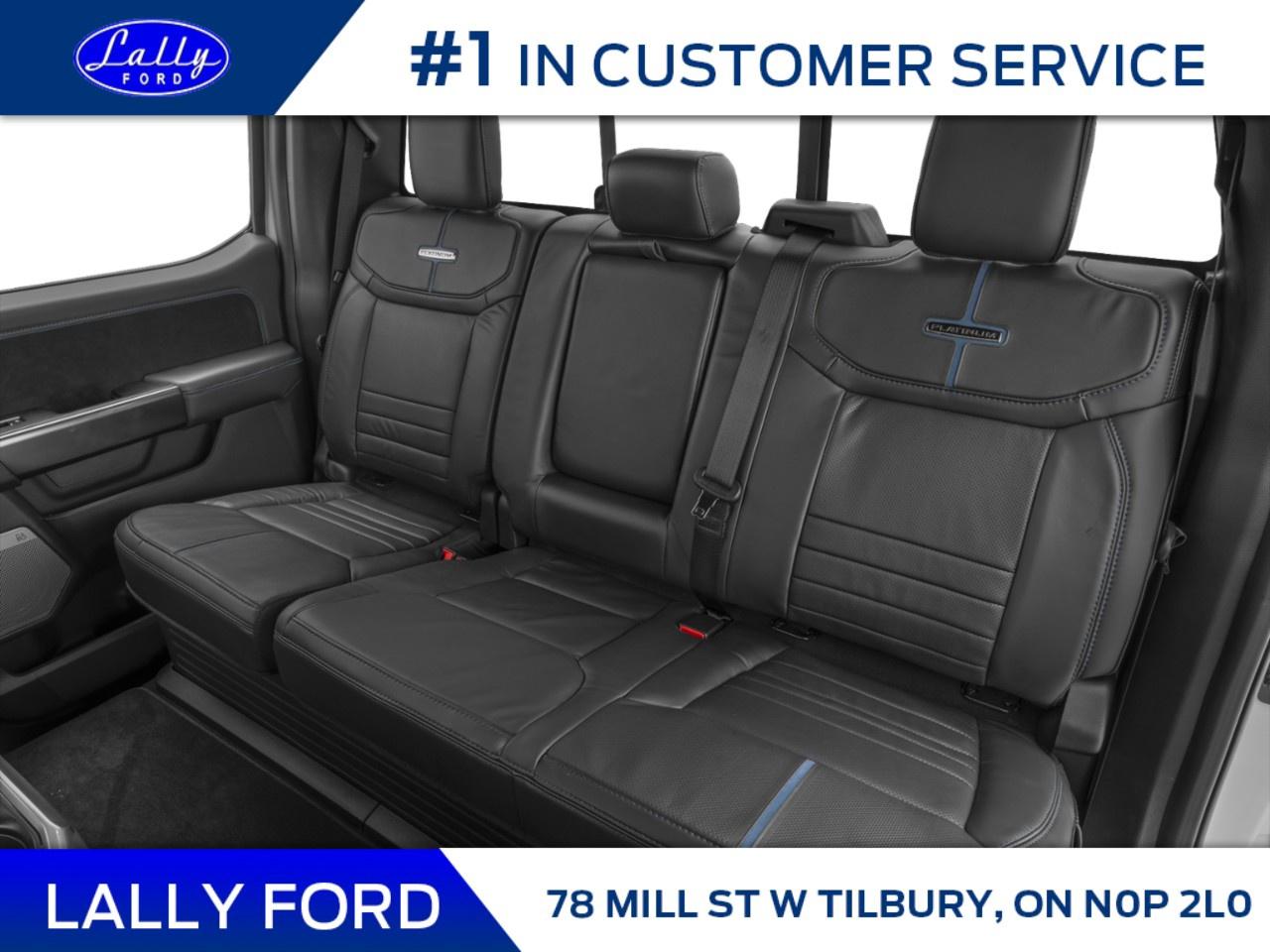 2025 Ford F-150 Platinum 4WD SuperCrew 5.5' Box Photo