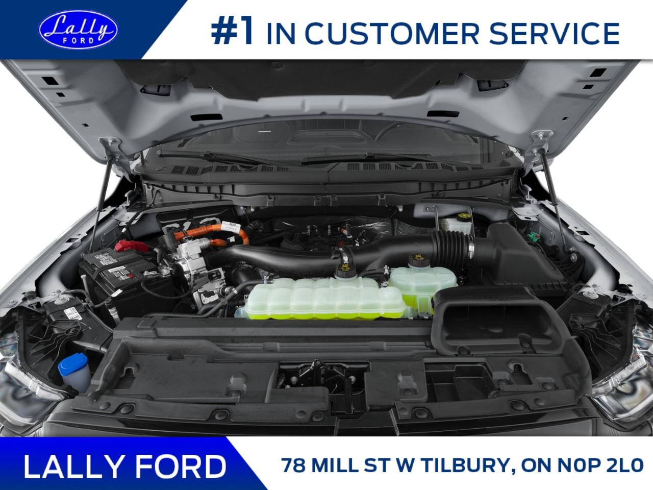 2025 Ford F-150 Platinum 4WD SuperCrew 5.5' Box Photo