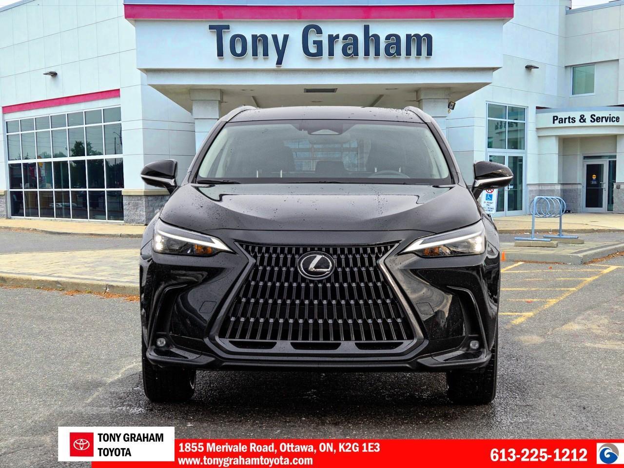 2024 Lexus NX 250 Photo4