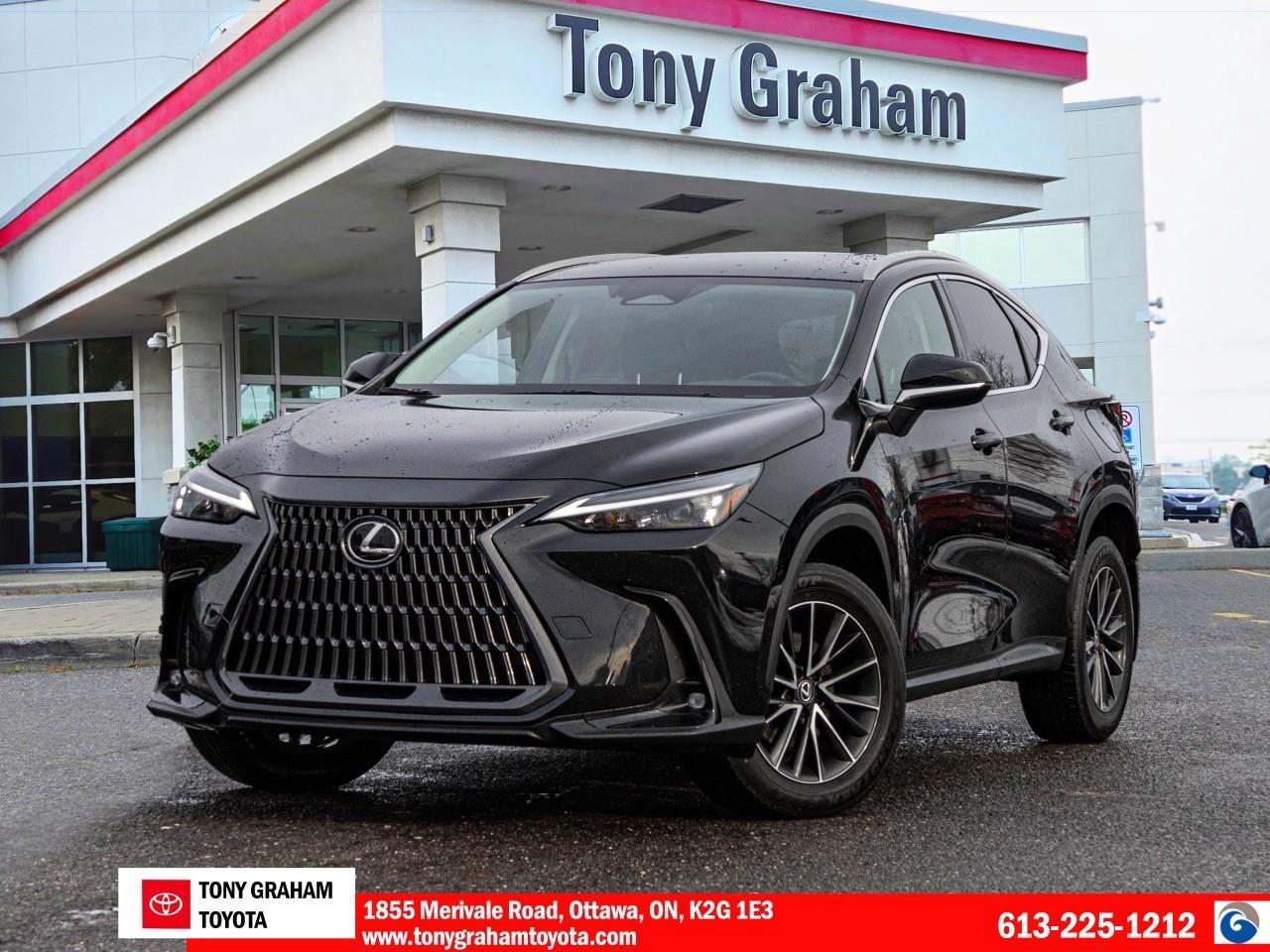 2024 Lexus NX 250 Photo0