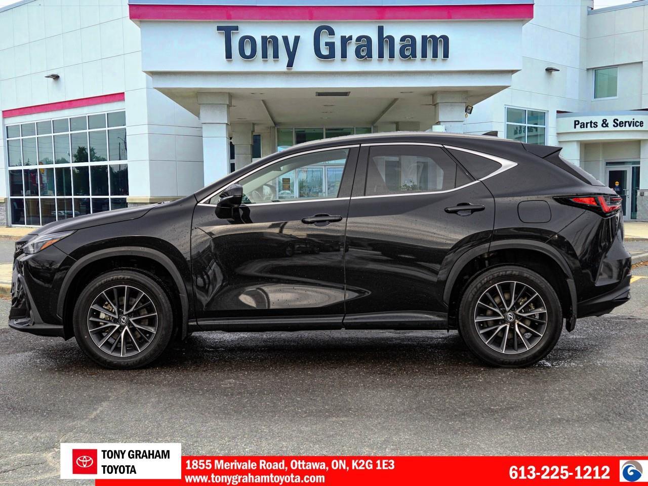 2024 Lexus NX 250 Photo