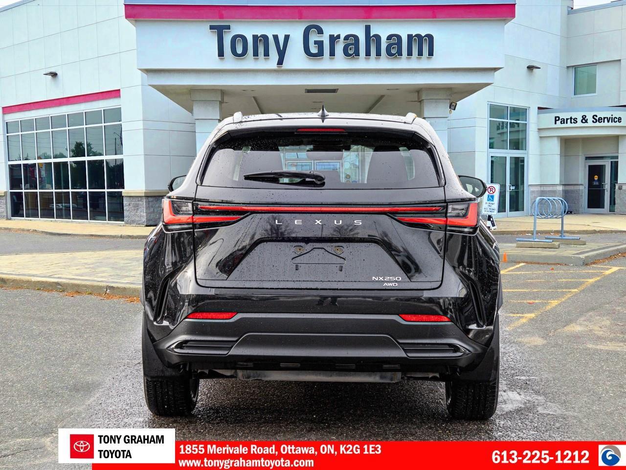 2024 Lexus NX 250 Photo3