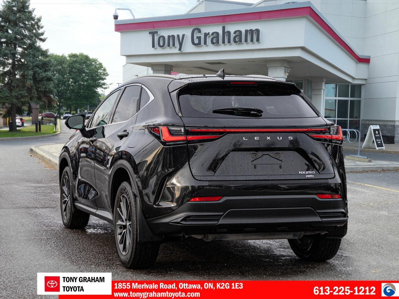 2024 Lexus NX 250 Photo