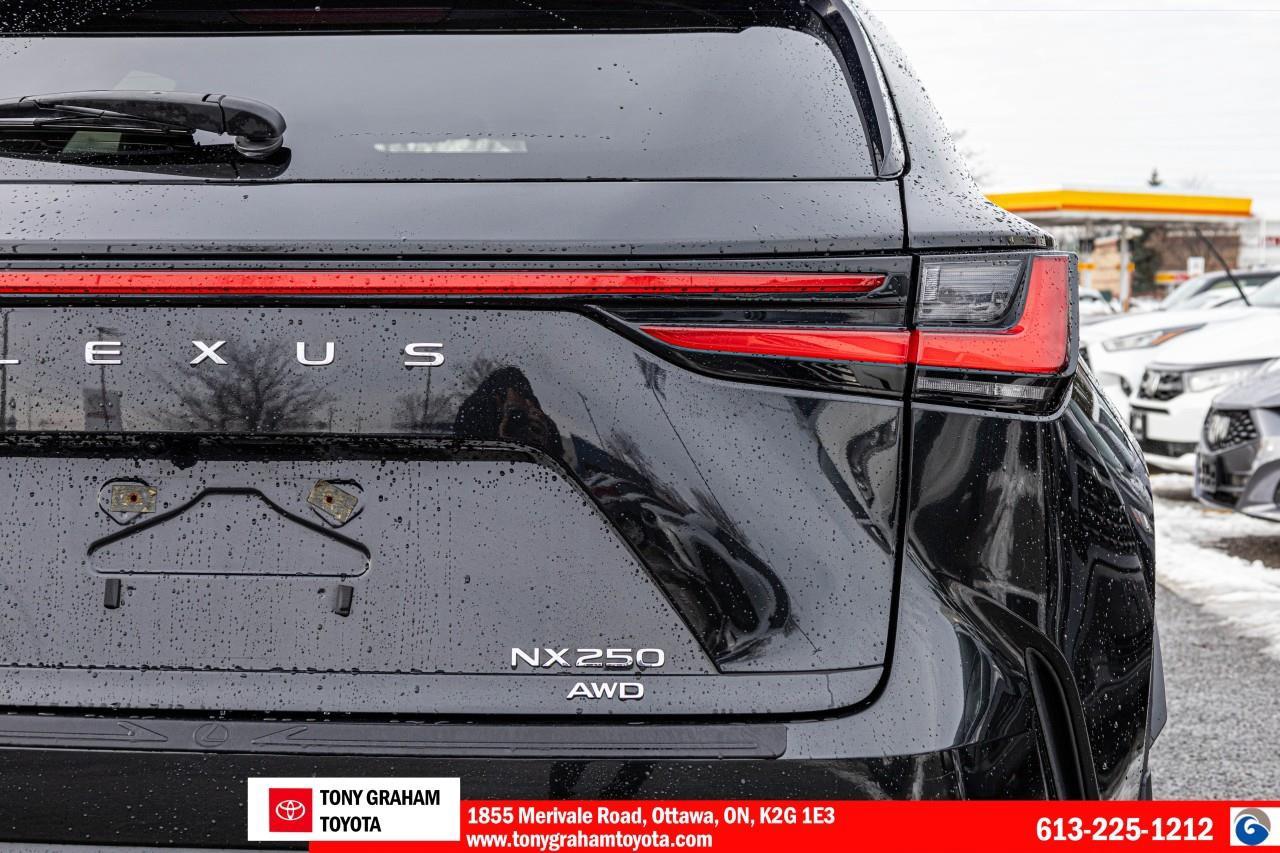 2024 Lexus NX 250 Photo