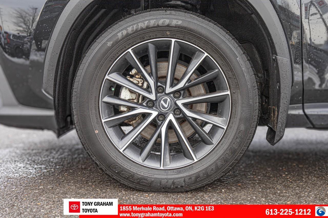 2024 Lexus NX 250 Photo