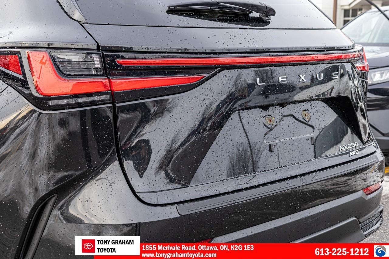 2024 Lexus NX 250 Photo