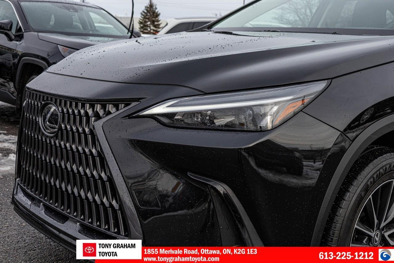 2024 Lexus NX 250 Photo