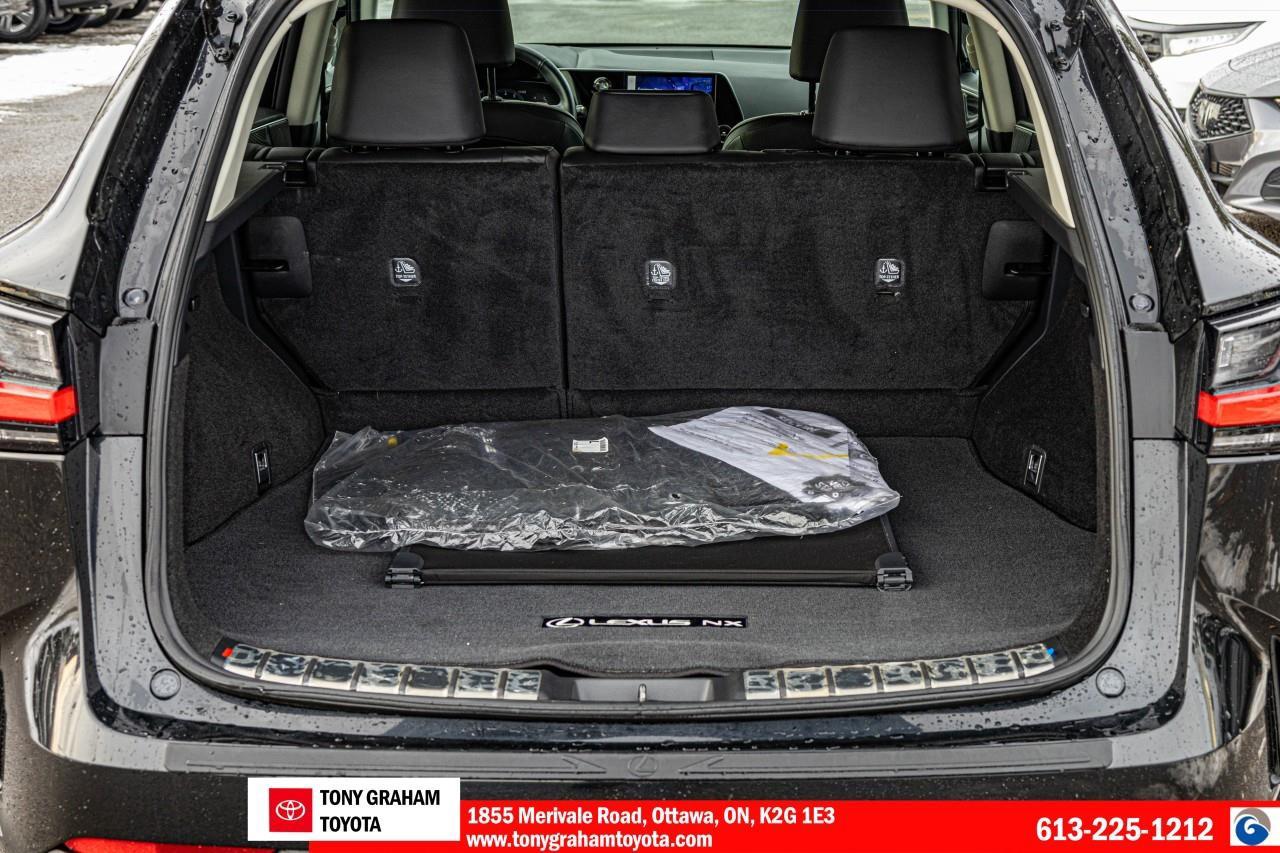 2024 Lexus NX 250 Photo