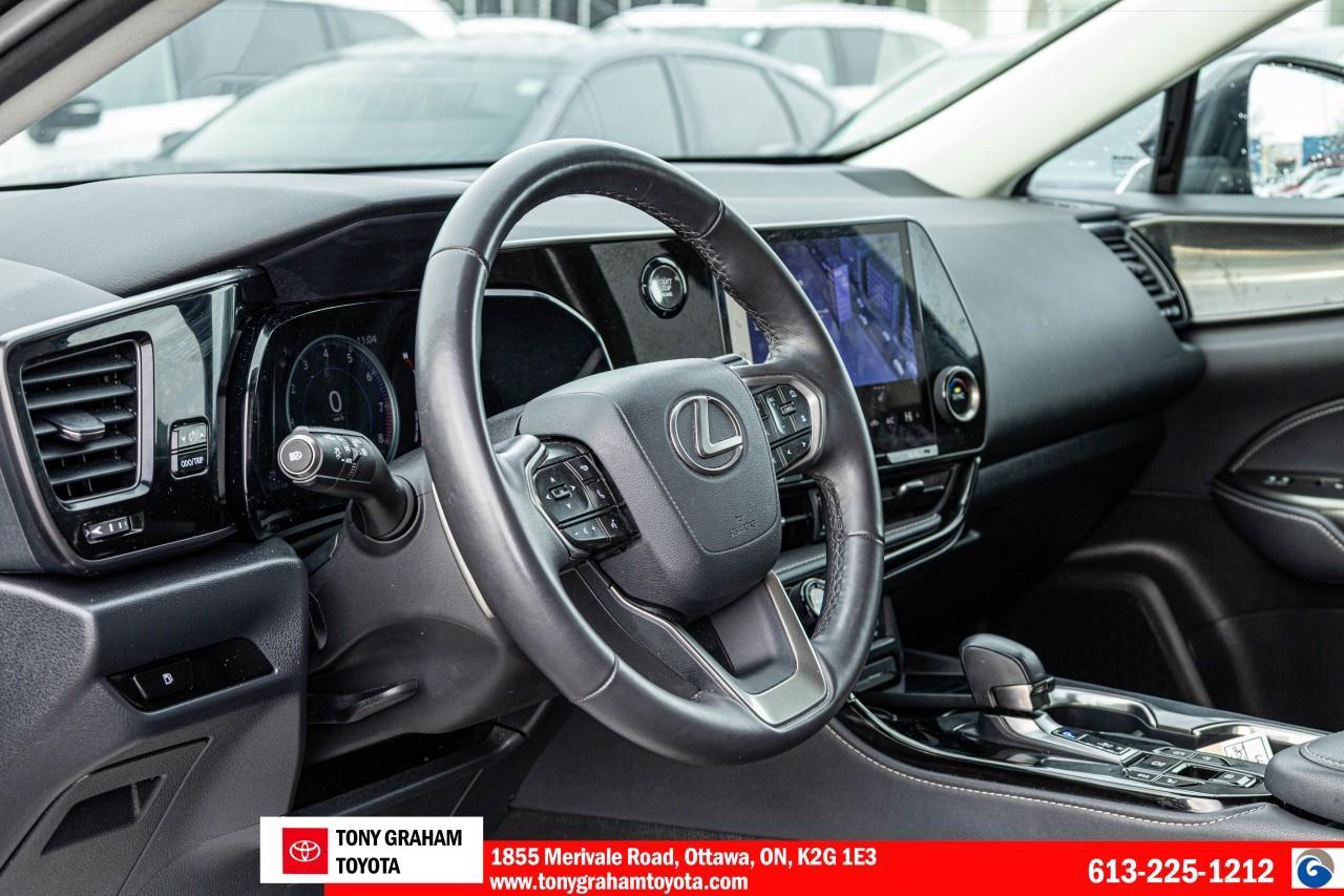 2024 Lexus NX 250 Photo